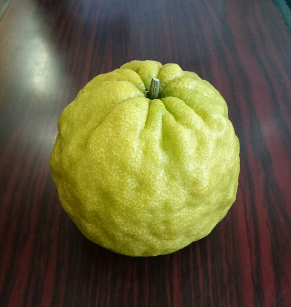 yuzu